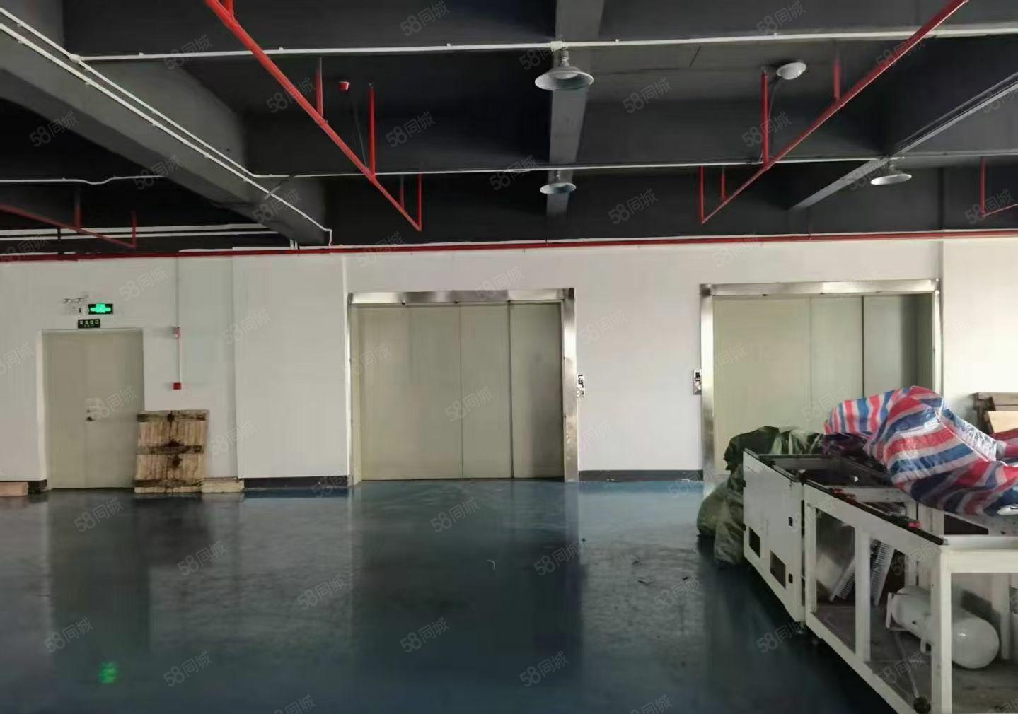 厚街镇标准厂房（独门独院）