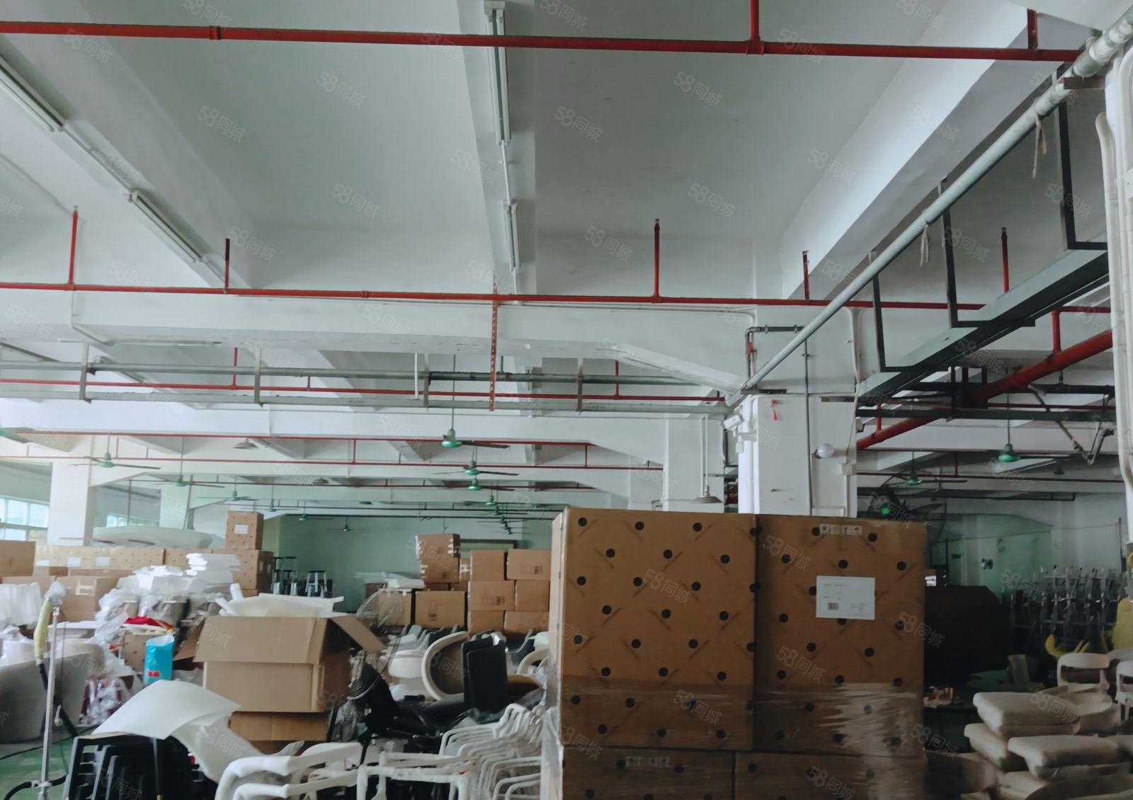 厚街镇新出独院厂房，交通便利，地理位置好，好招工