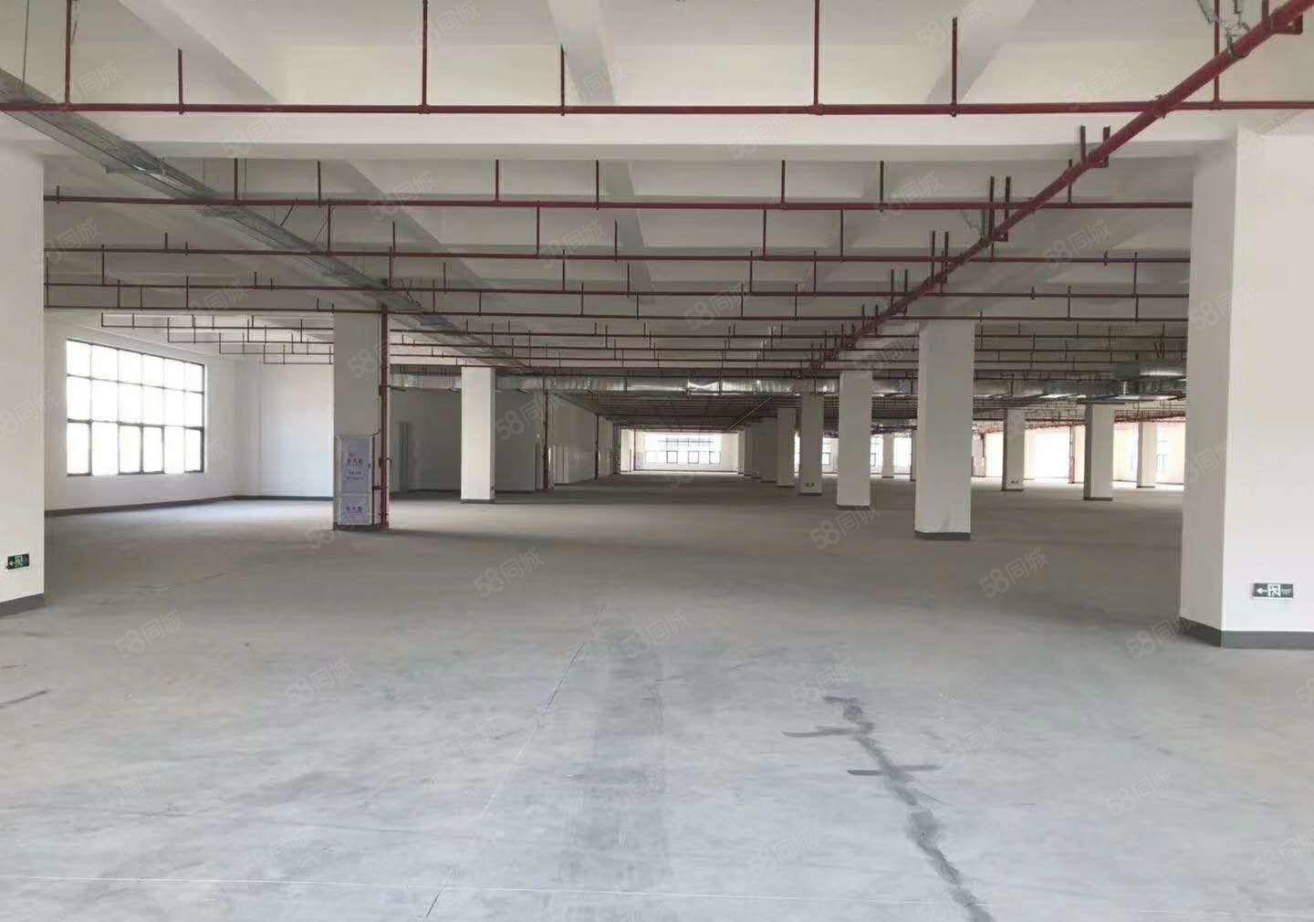 （急租）厚街花园式厂房1000平，超低价格！