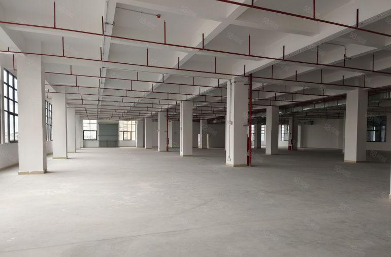 厚街镇全新标准厂房单层面积3000方，可分租一楼高度6.3米