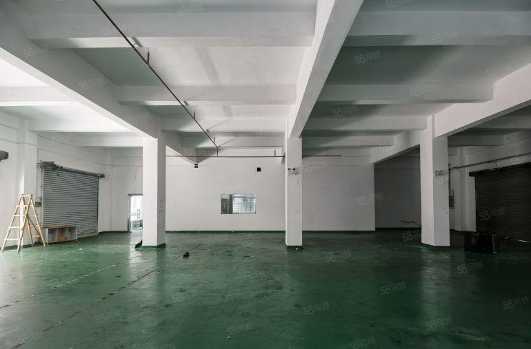 厚街三屯厂房一楼700平方13块带精装修办公室现成水电地坪漆