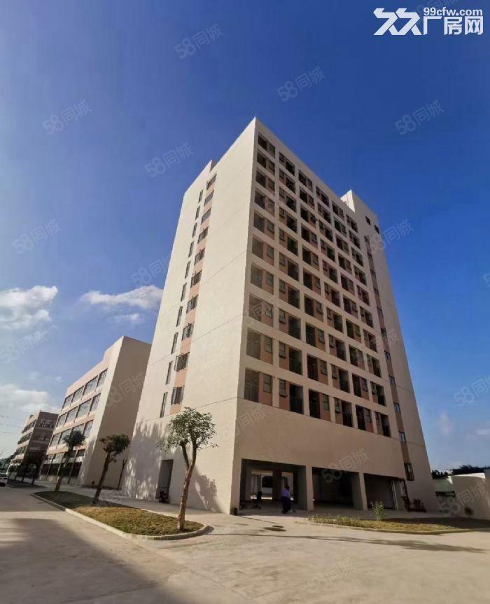 沙田大型产业园30000平方米随意分租 可办各类环评 配套齐