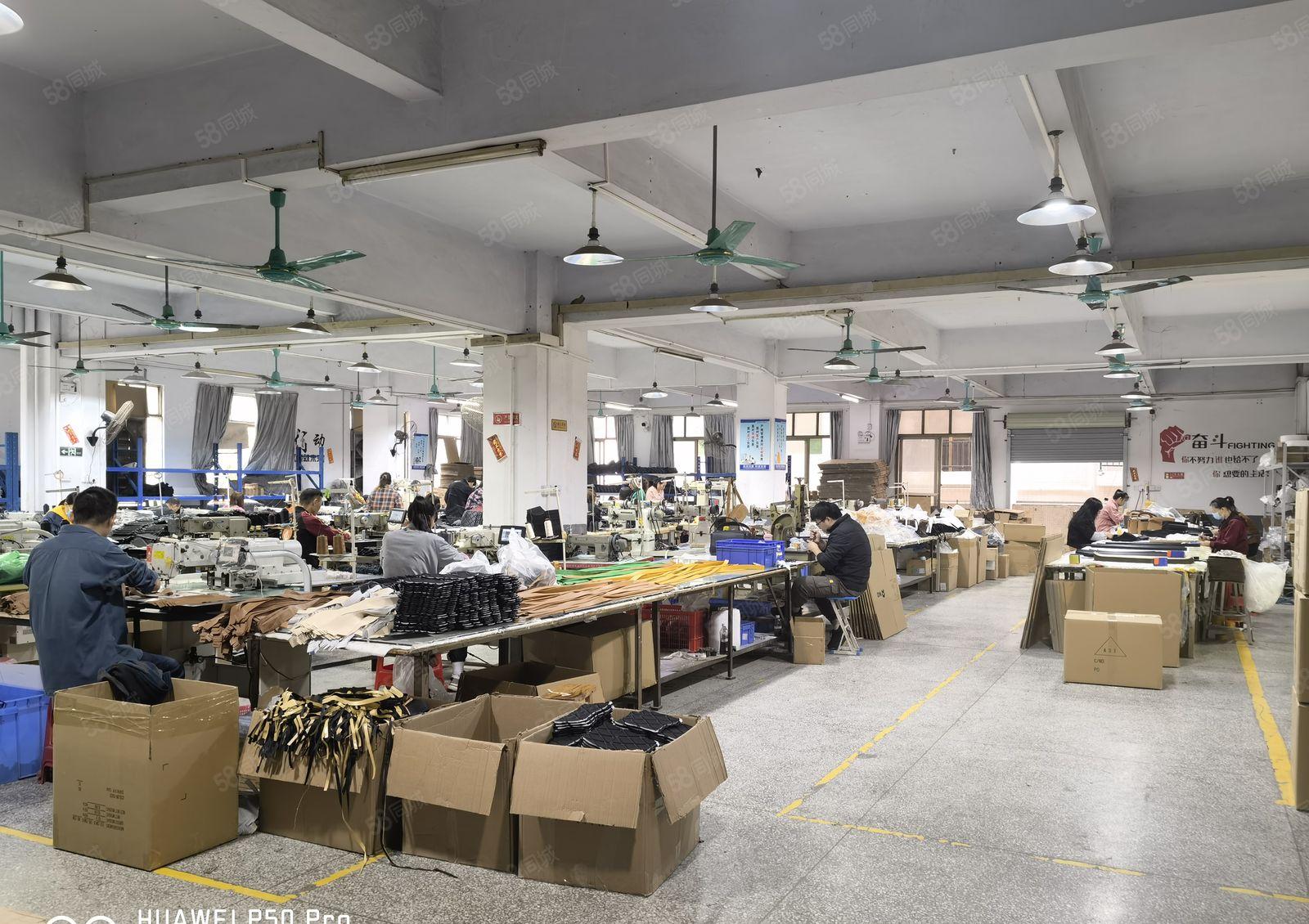 厚街镇西环路边新出独栋标准厂房单层800平方全新两吨货梯