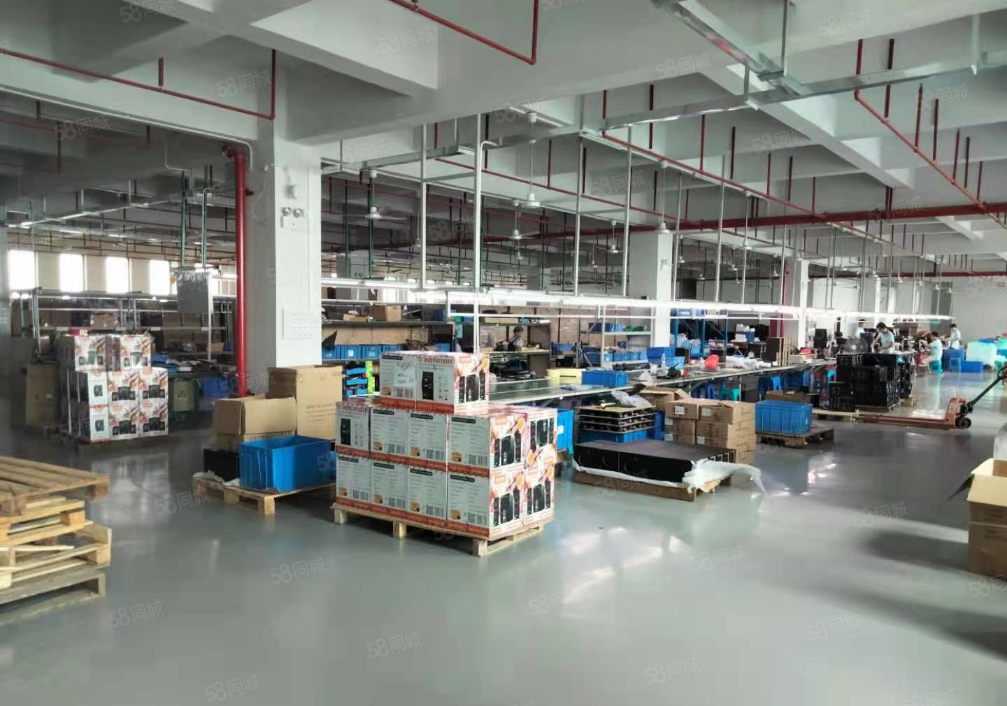 1000平一楼高度6米独院原房东高水电费自己交