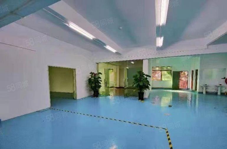 （出租）厚街新出1000平方标准厂房，水电齐全采光十足