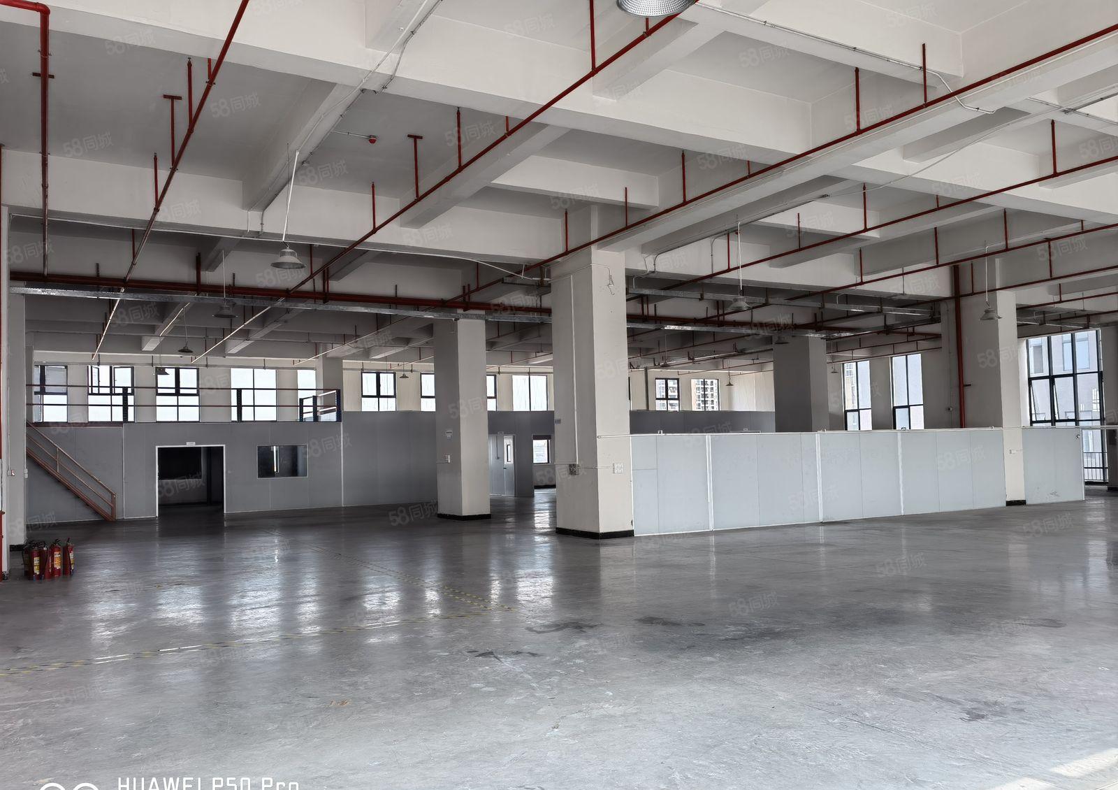 全新红本园区6楼1910平方现成装修阁楼地坪漆 面积利用率高