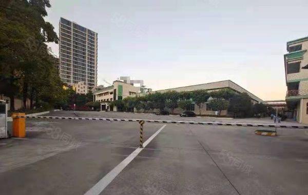 厚街推出钢构和标准厂房2000平，环境好！价格低！