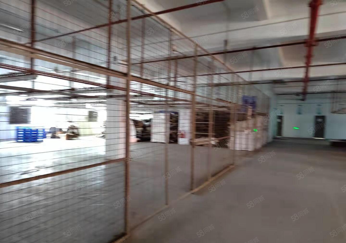 厚街新出无公摊实量厂房