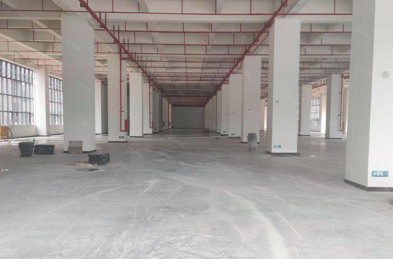 原房东全新标准厂房 上市公司形象 空地大 大小分租