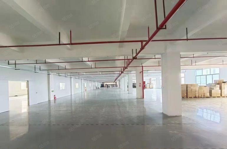 厚街 陈屋莞太路附近独门独院厂房21300平级装修空地大