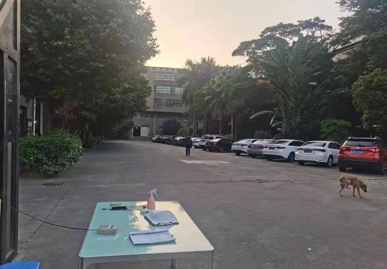 原房东实际面积厚街独院27000平米精装修红本厂房出租空地大