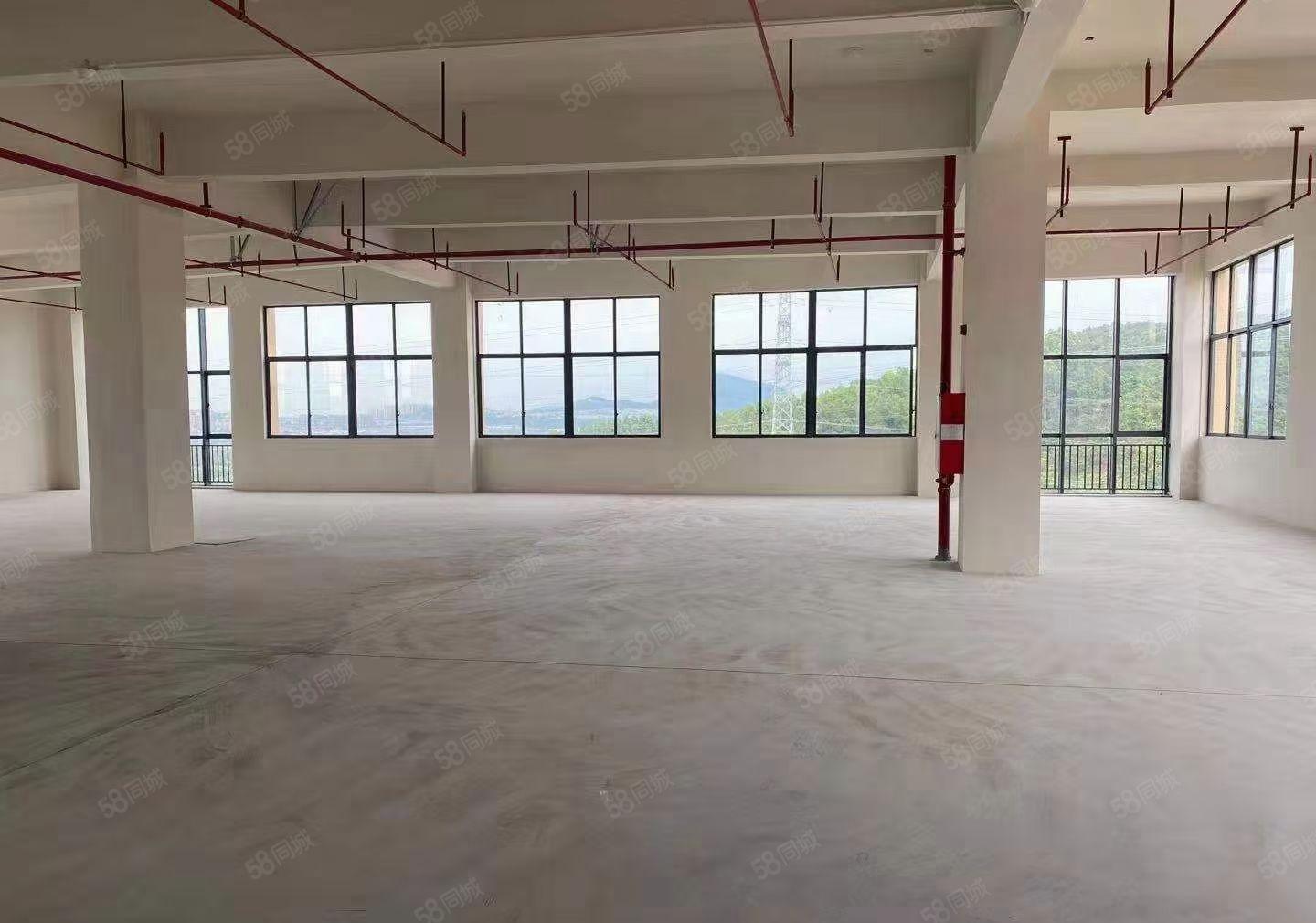 新出厚街工业园2580平厂房出租，拎包入驻,可分租，可办环评