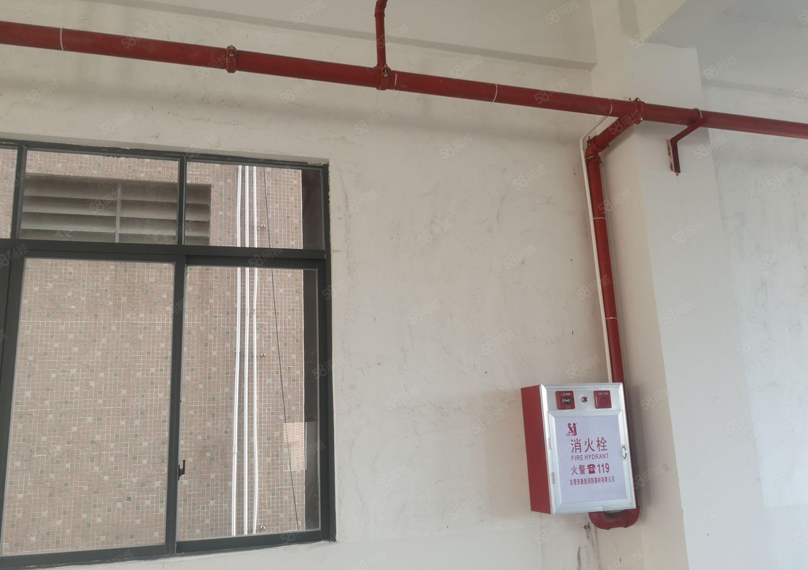 厂房出租，可办环评，随时看房，适合各种行业