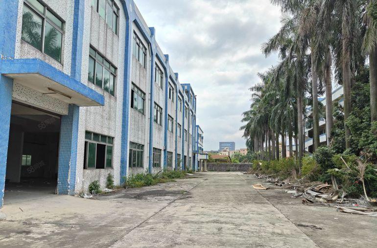 厚街标准独院厂房出租 空地大 适合五金 模具 鞋材 皮革家具