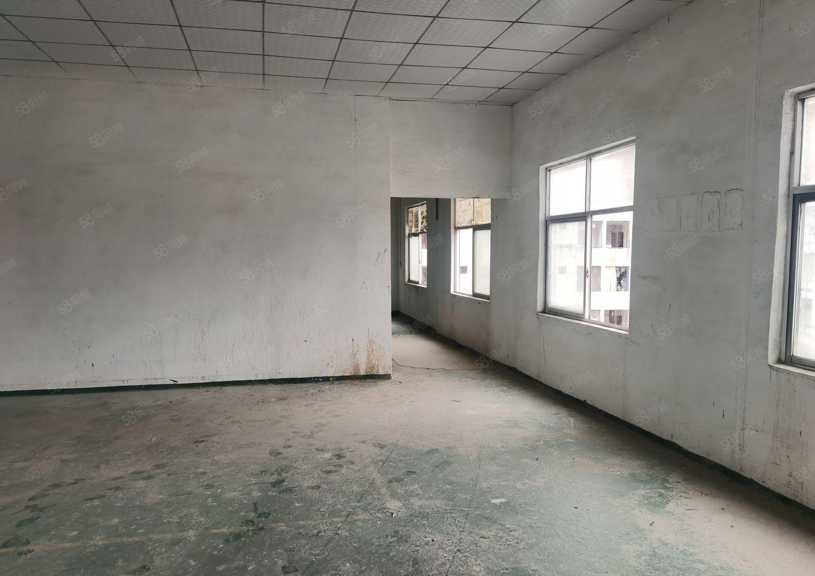 厚街标准可做污染行业厂房