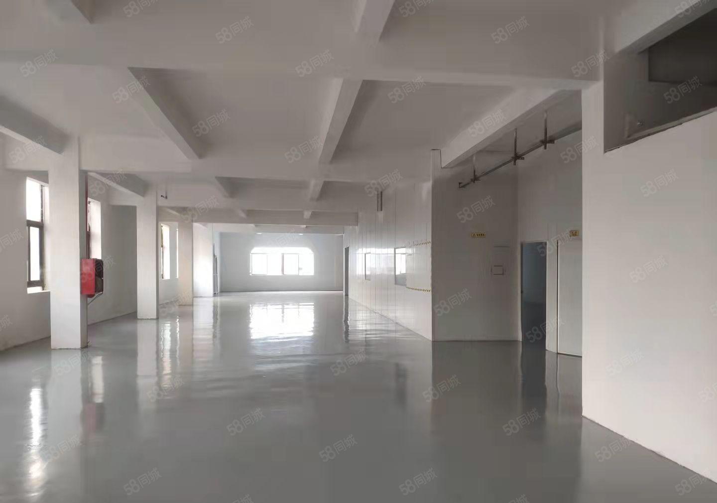 厚街整租16块带环评经典小独院5000平厂房出租