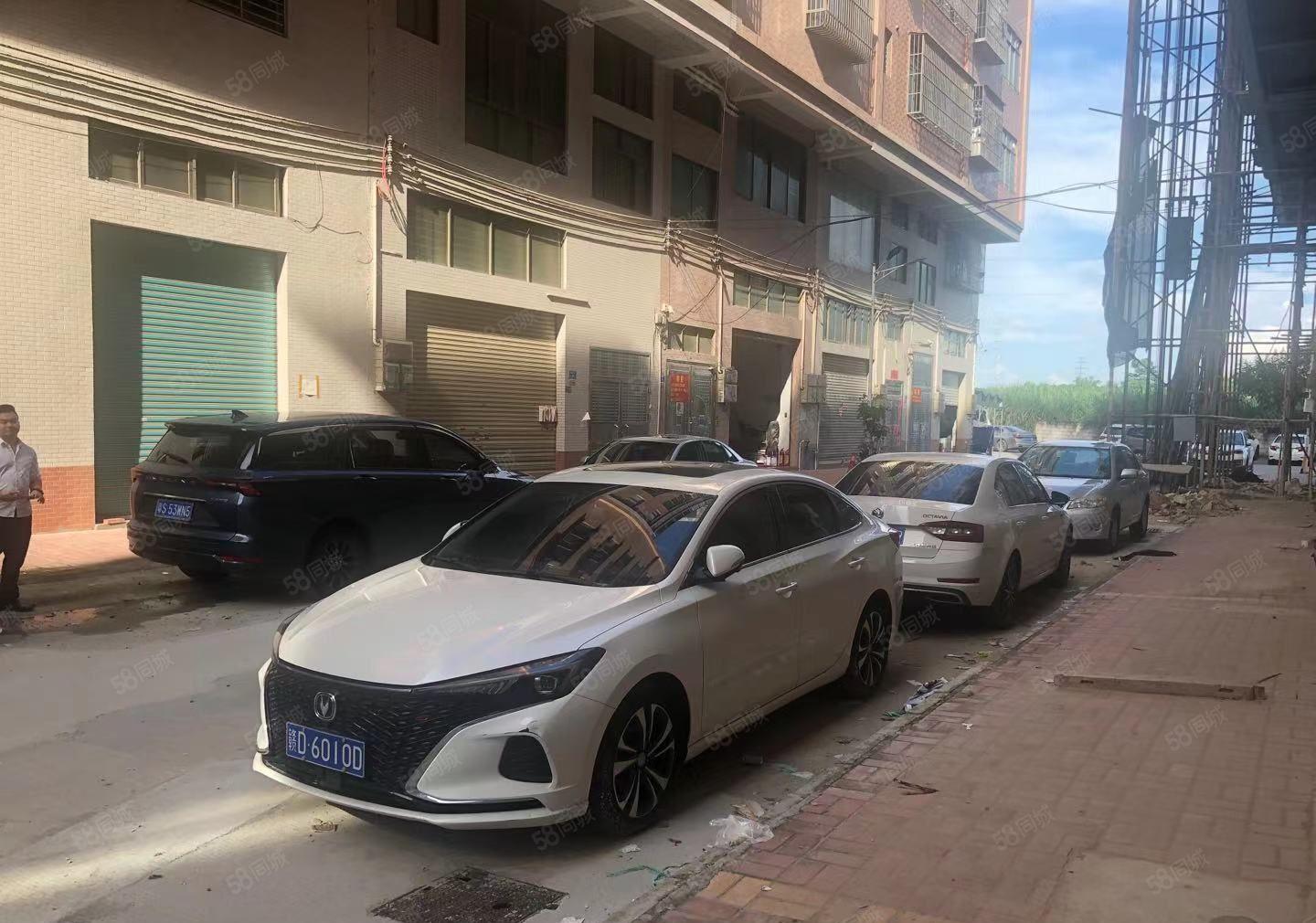 厚街全新原房东一楼240方出租带阁楼