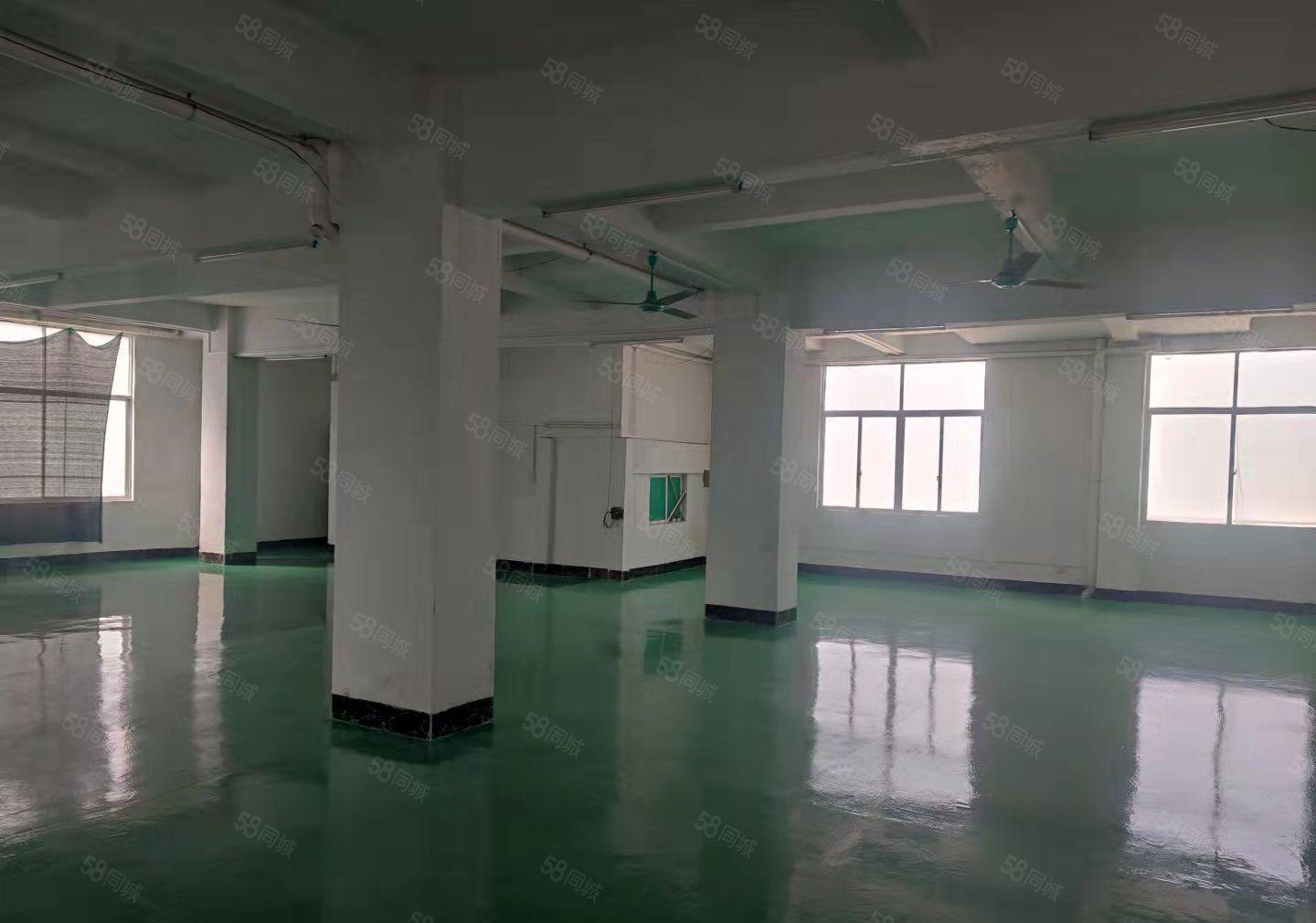 东莞市厚街全新地坪漆标准厂房二楼1230平低价招租可办环评