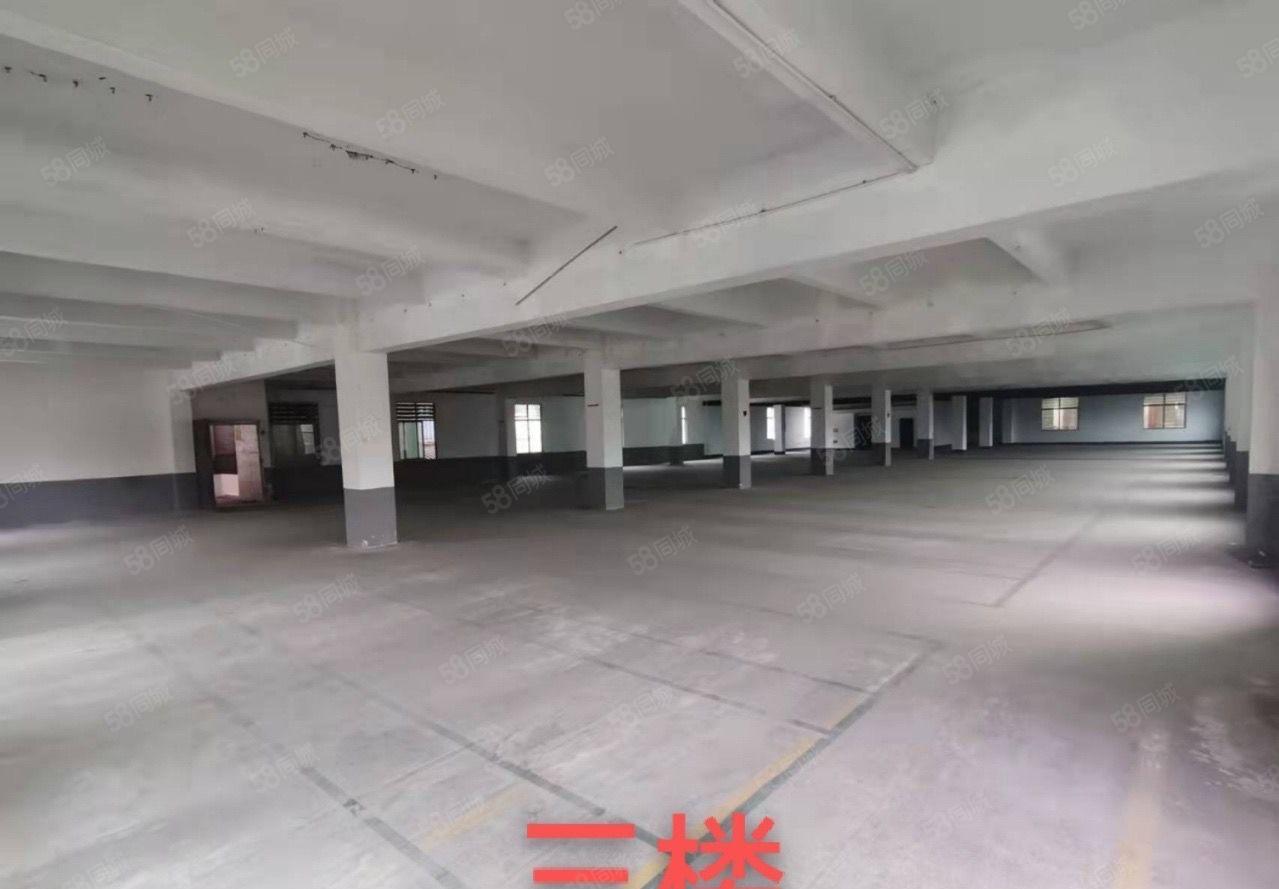 厚街镇涌口村原房东独院