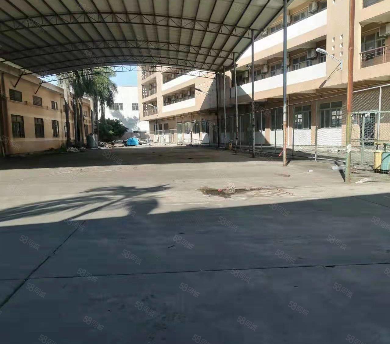 厚街原房东花园式厂房仓库出租7000平方大小可分租靠国道边