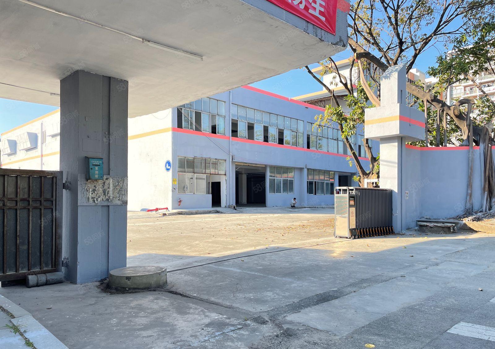 厚街独院1.2楼共6000方低价厂房出租四面采光合同十年