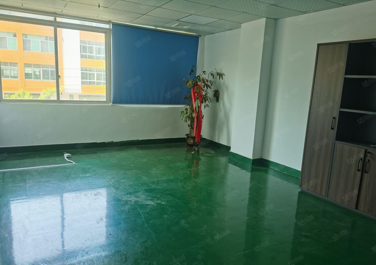 厚街精装修全新地坪漆办公室消防喷淋