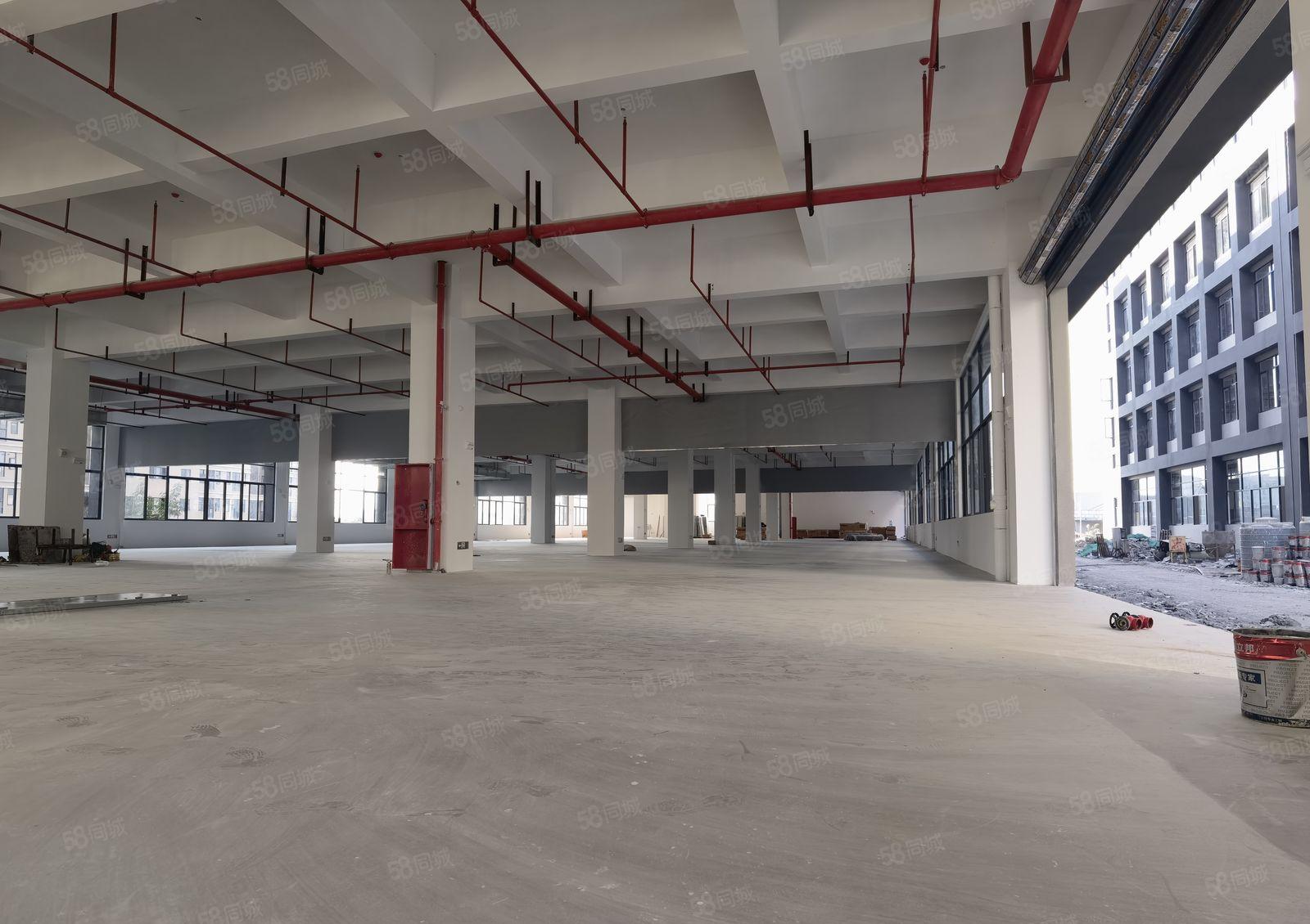 厚街全新红本独院三栋五层52000方