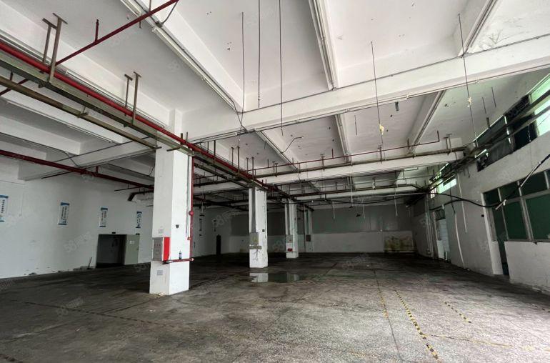 厚街三屯一楼1200平方5.5高，价格便宜