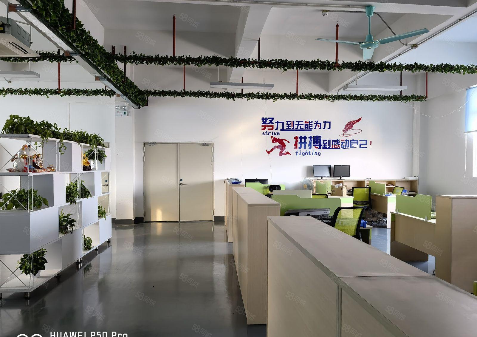 厚街新出精装现成办公5楼1350平原房东工业园厂房分租