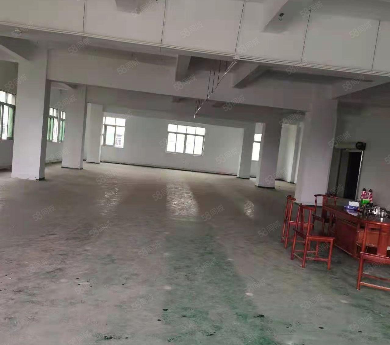 厚街西环路全新480平水电齐全含两吨货梯