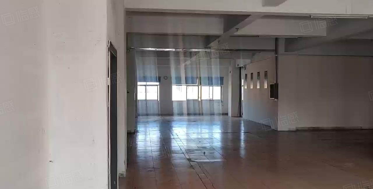 厚街村新出厂房5楼700平，路超大随意进车，价格美丽