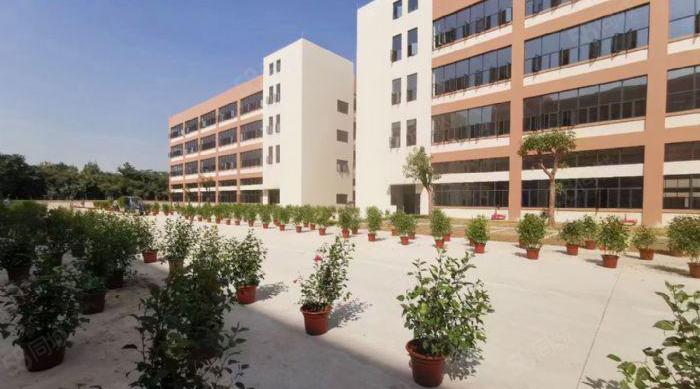 沙田大型产业园30000平方米随意分租 可办各类环评 配套齐