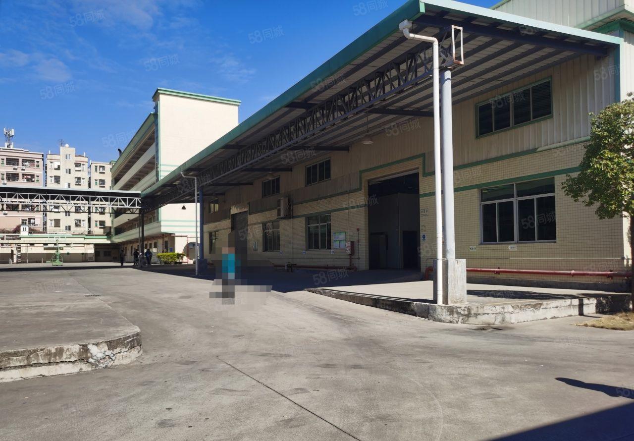 厚街推出钢构和标准厂房2000平，环境好！价格低！