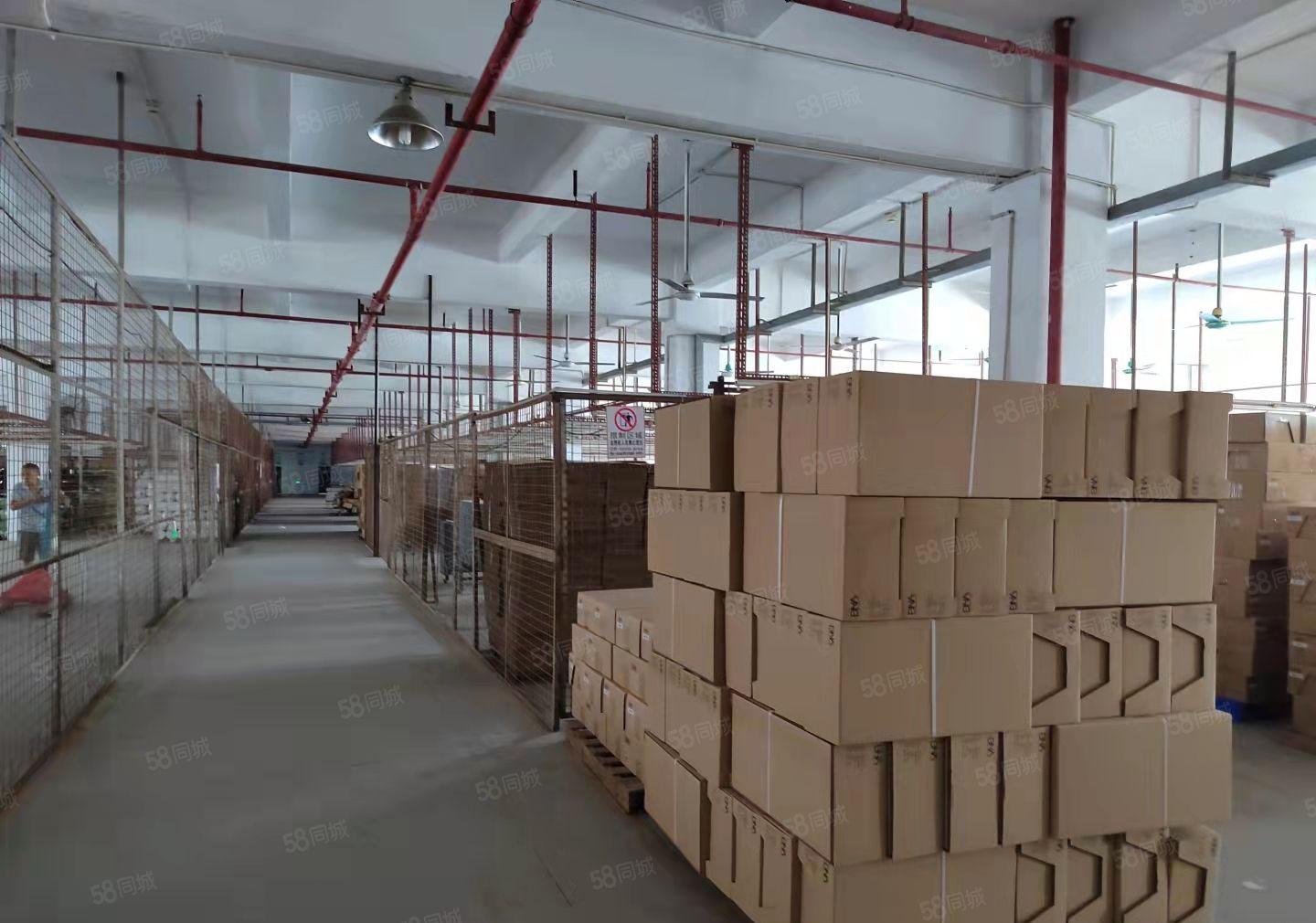 厚街新出无公摊实量厂房