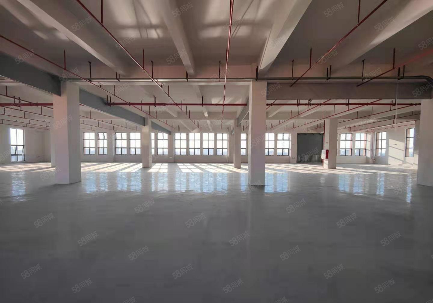 厚街涌口原房东1730平方全新地坪漆水电齐全