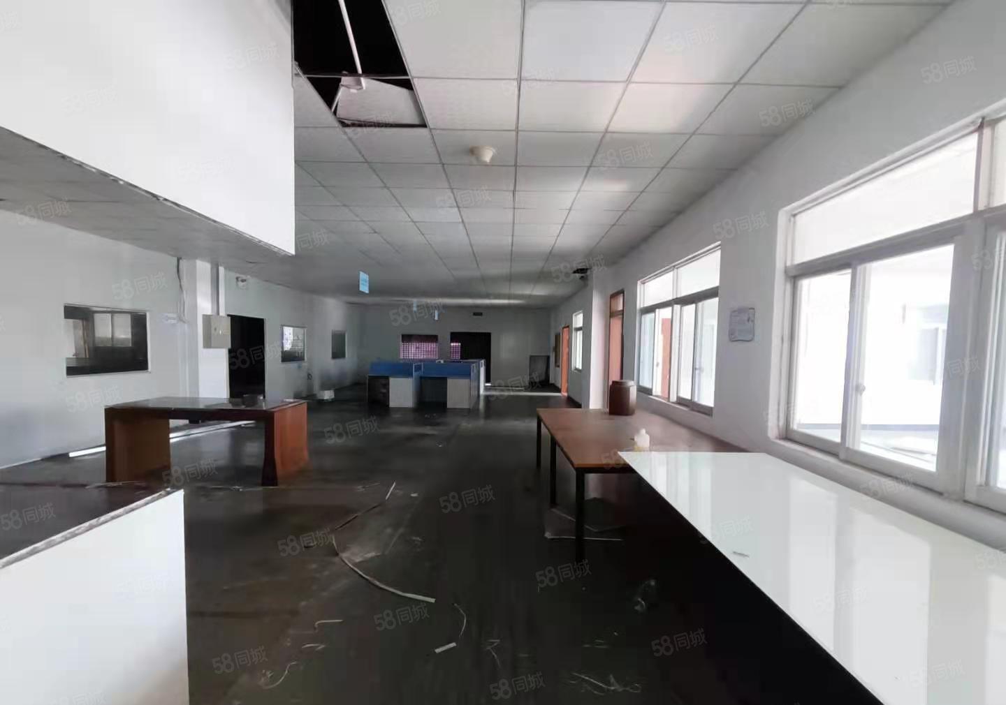 厚街新空出2700平方一楼带装修厂房出租可办环评工业用地