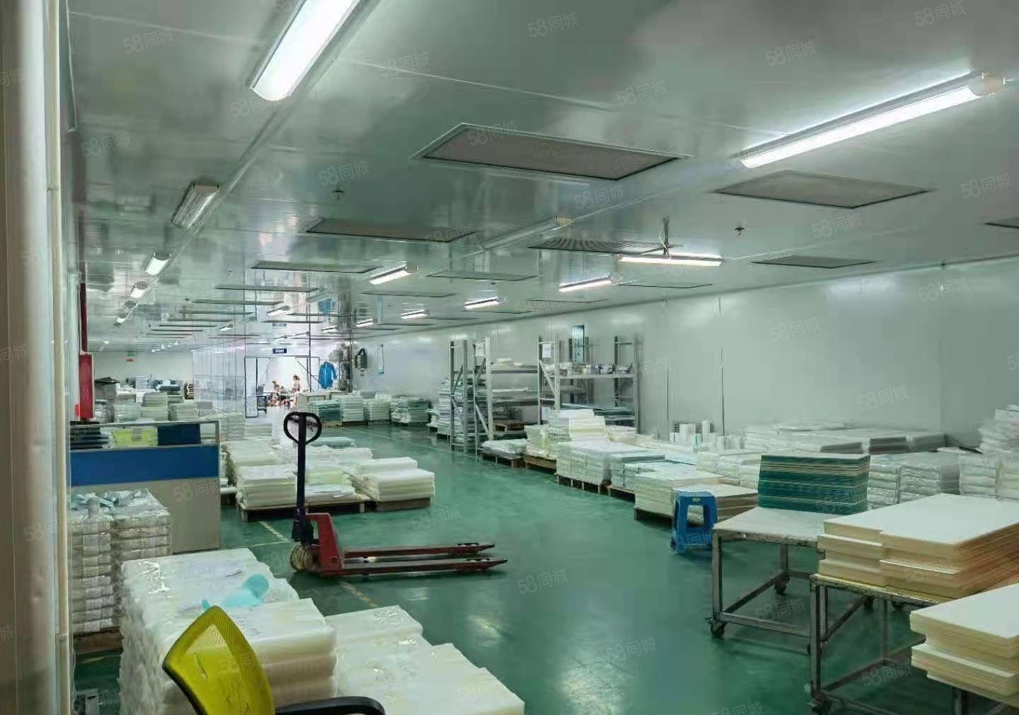 厚街厂房出租十万级无尘车间2000平方可办环评