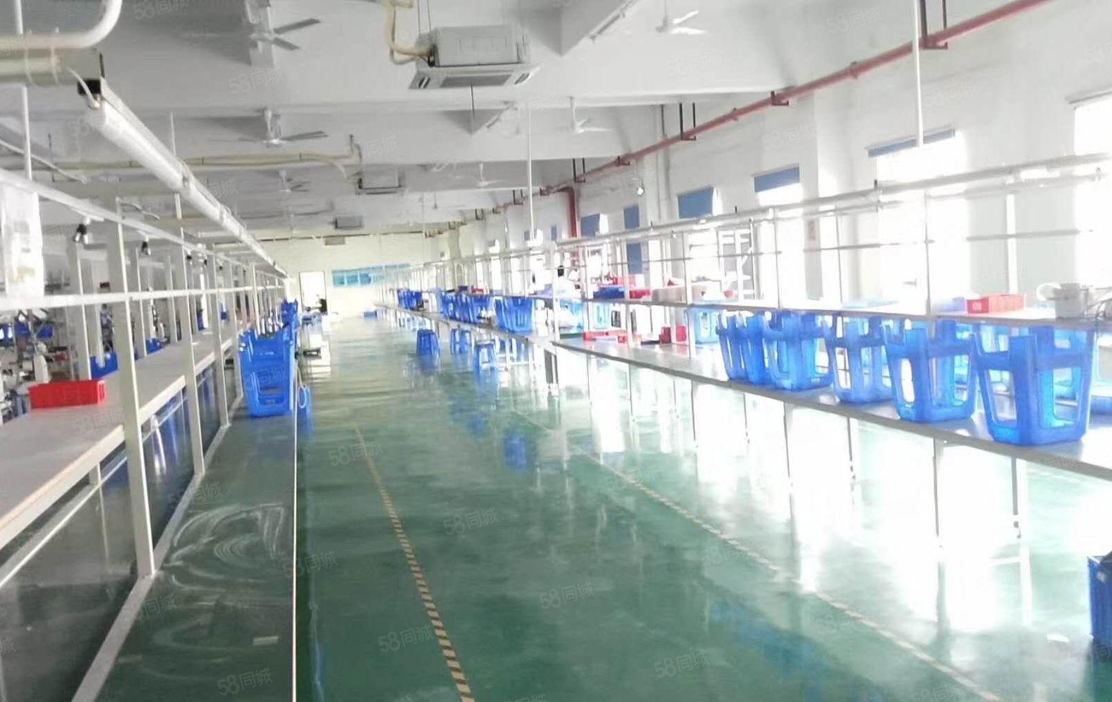 厚街赤岭房东自用现成电子厂房2880平方水电齐全精装修带环评