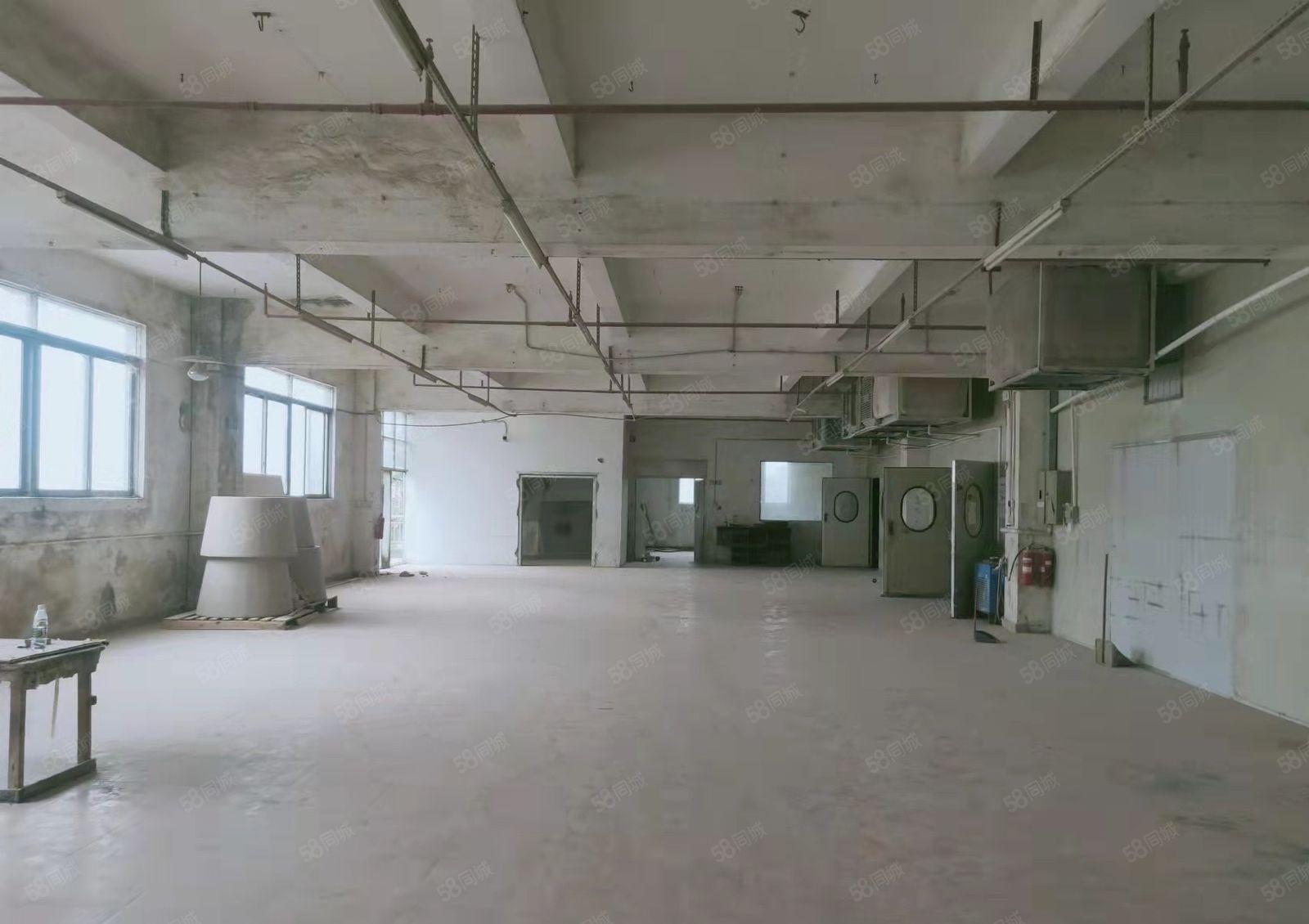 厚街独门独院可分租5000平全新装修