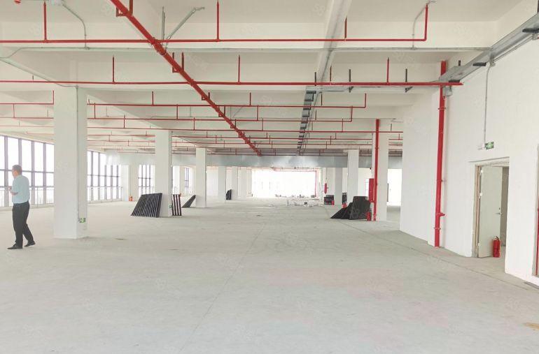 厚街标杆，一楼8米二三楼6米四楼以上5米，实际出租低空间补贴