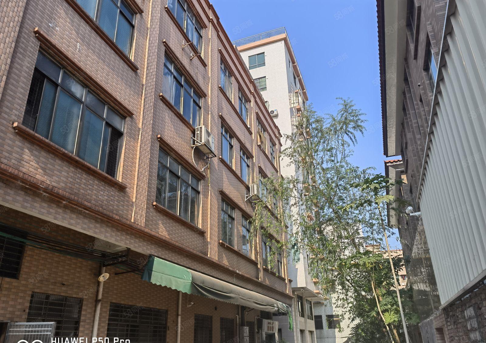 厚街镇西环路边新出独栋标准厂房单层800平方全新两吨货梯