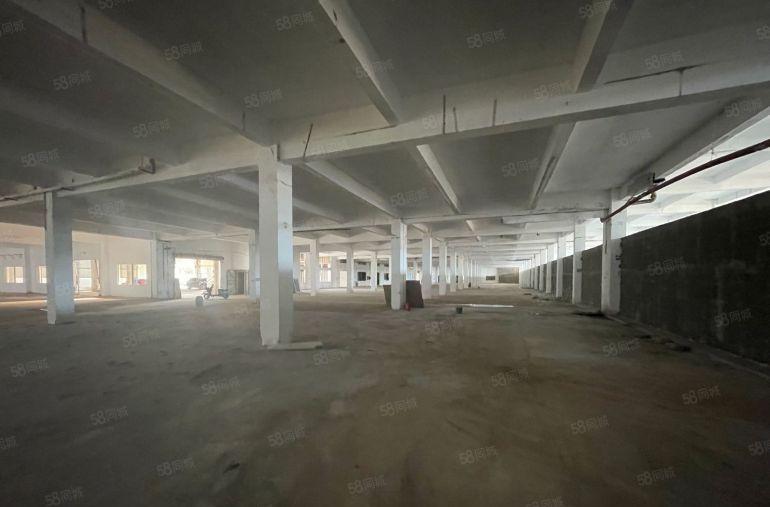 厚街红本（单一层一楼）1万方厂房仓库出租