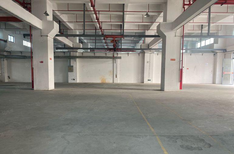 厚街镇1300平工业区层高7米工业用地原房东带2台航车