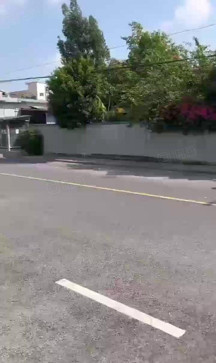 （厚街）推出低价独院单一层铁皮房，超大空地！