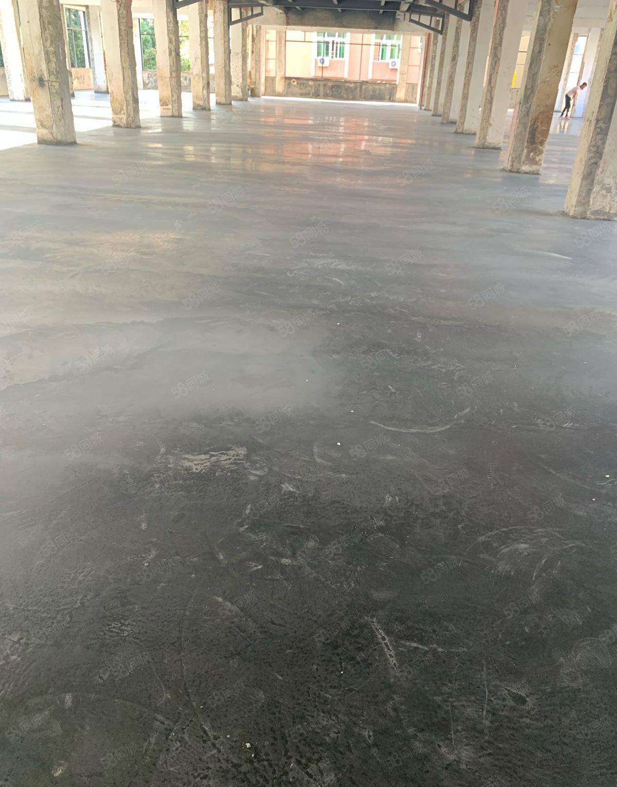 厚街大道3000方厂房低价出租