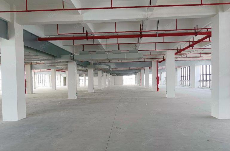 厚街标杆，一楼8米二三楼6米四楼以上5米，实际出租低空间补贴