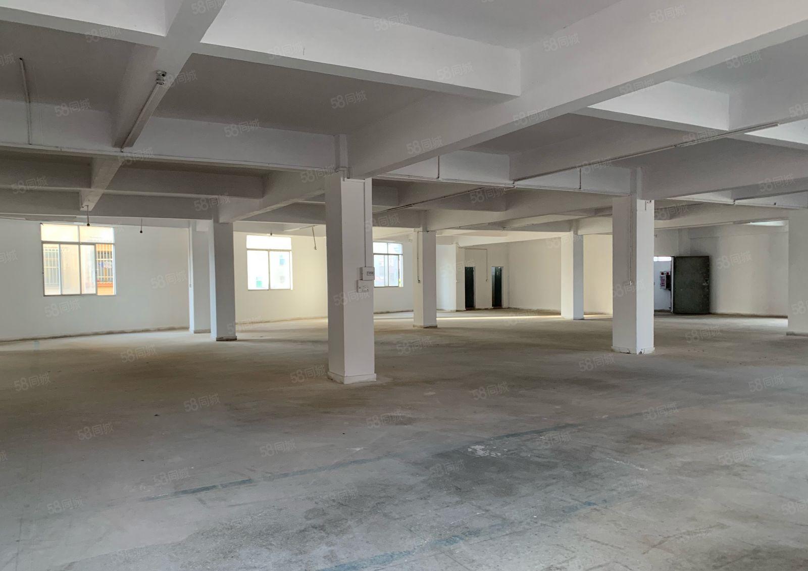 厚街600方标准厂房3楼 现成水电 9成新