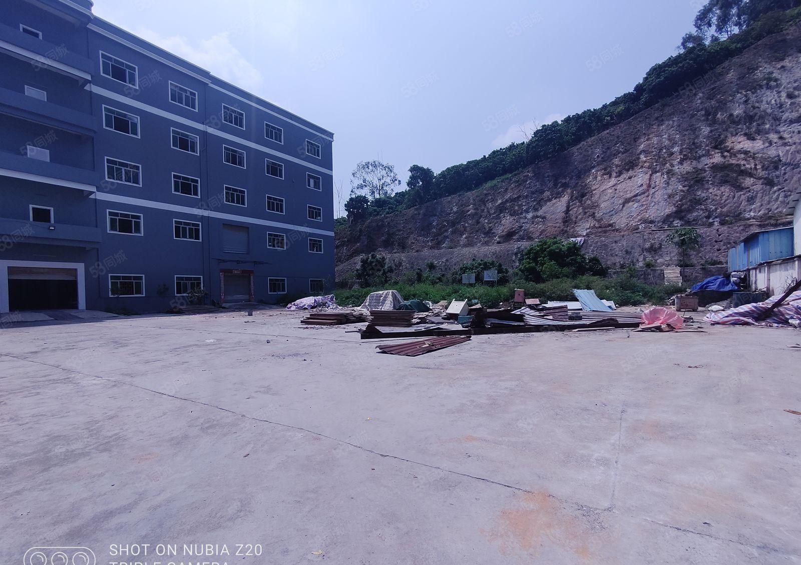 独门独院工业厂房11500平方低价出租整租分租均可院子超大