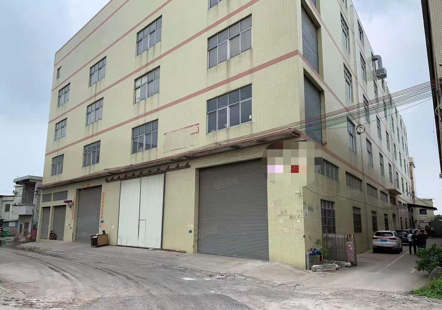 独栋厂房仓库出租1500平方450起分租水电线路齐全靠大马路