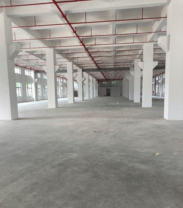 厚街错三屯西环路附近全新厂房一楼